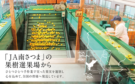 【先行受付：12月下旬発送】数量限定！ 鹿児島県産 ぽんかん 約5kg ブランド 果物 フルーツ 柑橘 常温 JA 南さつま市