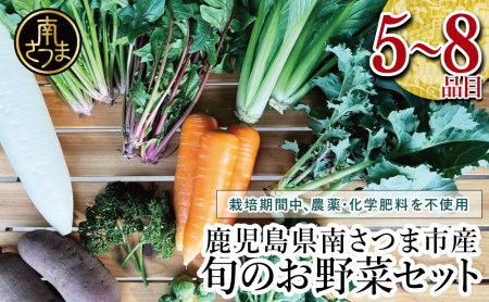 【鹿児島県南さつま市産】福元農園 旬のお野菜 おまかせセット 1箱（5～8品目）