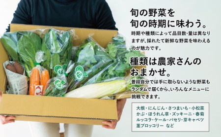 【鹿児島県南さつま市産】福元農園 旬のお野菜 おまかせセット 1箱（5～8品目）