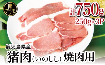 【南さつまジビエ】鹿児島県南さつま産 猪（いのしし）肉　焼肉用 750g（250g×3P） 冷凍 グルメ ジビエ肉 ジビエ イノシシ 焼肉 焼肉セット
