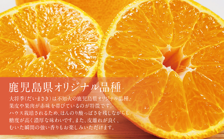 【1月～3月発送】鹿児島県産 不知火「大将季」（だいまさき）約3kg 果物 フルーツ 柑橘 みかん しらぬい ブランド 常温 JA 南さつま市