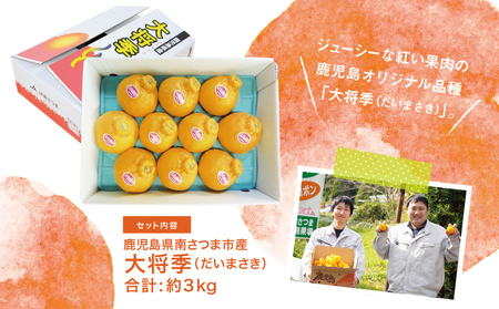 【1月～3月発送】鹿児島県産 不知火「大将季」（だいまさき）約3kg 果物 フルーツ 柑橘 みかん しらぬい ブランド 常温 JA 南さつま市