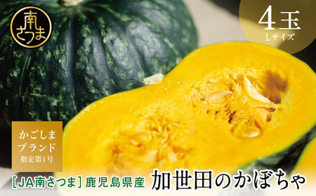 ◆12月出荷◆【かごしまブランド】加世田のかぼちゃ 4個 ［冬出荷］ 野菜 カボチャ 常温 鹿児島県産 JA 南さつま市