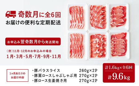 【定期便：全6回】鹿児島産 豚肉3種類セット 1.6kg×6回（合計9.6kg） 国産 鹿児島県産 豚肉 お取り寄せ かごしま グルメ 鍋 送料無料 鹿児島県 南さつま市 株式会社コワダヤ