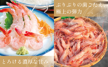 【数量限定】鹿児島県産 天然たかえび（生食用） 約1kg ［Mサイズ］ 薩摩甘エビ ヒゲナガエビ 刺身 海鮮 海老 海鮮丼 塩焼き 冷凍 丸航丸 南さつま市 野間池