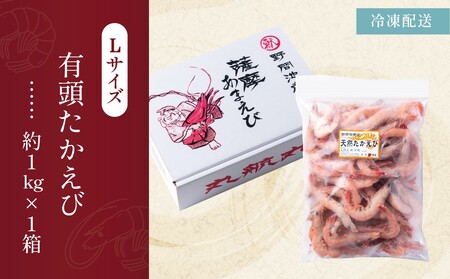【数量限定】鹿児島県産 天然たかえび（生食用） 約1kg ［Lサイズ］ 薩摩甘エビ ヒゲナガエビ 刺身 海鮮 海老 海鮮丼 塩焼き 冷凍 丸航丸 南さつま市 野間池