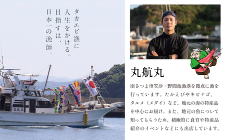 【数量限定】鹿児島県産 天然たかえび（生食用） 約1kg ［Lサイズ］ 薩摩甘エビ ヒゲナガエビ 刺身 海鮮 海老 海鮮丼 塩焼き 冷凍 丸航丸 南さつま市 野間池