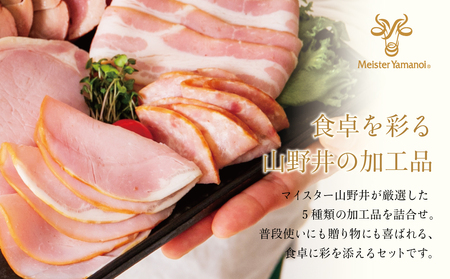 【マイスター山野井】ハム・ソーセージ 5種 詰合せ 計18P ウインナー ベーコン ハム スライス お取り寄せ 肉 豚肉 ご当地 鹿児島 グルメ ロースハム オードブル 惣菜 おかず おせち パーティー 手土産 ギフト 贈り物 贈答用 ご贈答 詰め合わせ セット 冷蔵 南さつま市