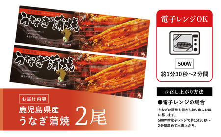 【鹿児島県産】活うなぎの蒲焼2尾  鰻 ウナギ うな重 うな丼 蒲焼 かば焼き 南さつま市