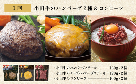 【全3回】プレミアムブランド「小田牛」定期便［加工品づくし］　鹿児島県産黒毛和牛 ハンバーグ コンビーフ ローストビーフ 餃子 焼売 総菜 おかず レトルト 冷凍 小田畜産 南さつま市