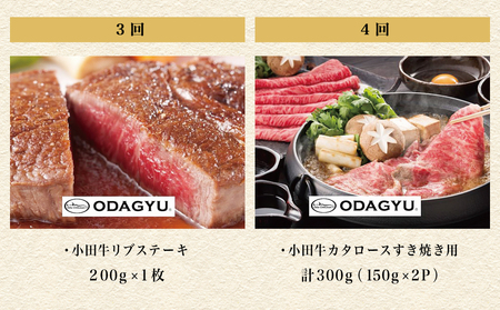 【全5回】プレミアムブランド「小田牛」定期便［肉三昧］ 鹿児島県産 黒毛和牛 ステーキ リブステーキ すき焼き 焼肉 BBQ カタロース カルビ モモ ソース 冷凍 小田畜産 南さつま市