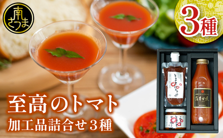 至高のトマト加工品詰合せ 3種類 南国 フルーツトマト100%使用 薩摩甘照 さつまあまてらす トマトジュース トマトケチャップ 濃厚 コク 甘み 天然素材 とまと 野菜 飲料 ドリンク ギフト 贈り物 贈答用 化粧箱入り 高槻電器工業 南さつま市