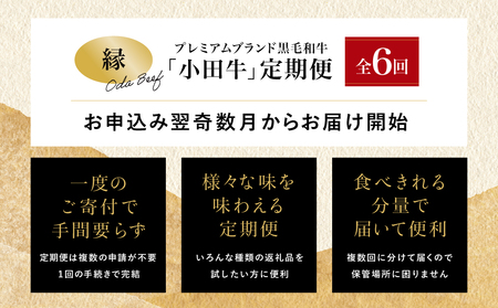 【全6回】プレミアムブランド「小田牛」定期便［～縁～］ 鹿児島県産 黒毛和牛 ステーキ すき焼き 焼肉 焼き肉 BBQ ハンバーグ 餃子 ぎょうざ 焼売 しゅうまい レトルト カレー パスタソース 牛トロ煮込み 常温 冷凍 小田畜産 南さつま市