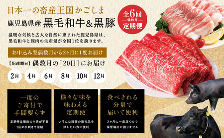 【定期便 全6回】スターゼン厳選お肉の定期便（鹿児島県産黒毛和牛・黒豚） 牛肉 豚肉 サーロイン ステーキ 切り落とし しゃぶしゃぶ 焼肉 すき焼き もも モモ バラ ロース スライス 小分け 定期便 冷凍 スターゼン 南さつま市