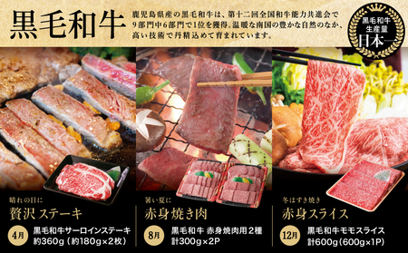 【定期便 全6回】スターゼン厳選お肉の定期便（鹿児島県産黒毛和牛・黒豚） 牛肉 豚肉 サーロイン ステーキ 切り落とし しゃぶしゃぶ 焼肉 すき焼き もも モモ バラ ロース スライス 小分け 定期便 冷凍 スターゼン 南さつま市