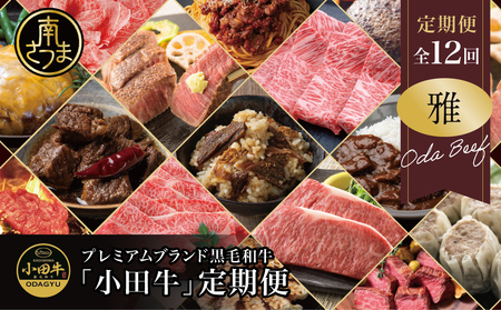 【全12回】プレミアムブランド「小田牛」定期便［～雅～］ 鹿児島県産 黒毛和牛 ステーキ すき焼き 焼肉 焼き肉 BBQ ハンバーグ 餃子 ぎょうざ 焼売 しゅうまい レトルト カレー パスタソース 牛トロ煮込み  コンビーフ ローストビーフ 常温 冷凍 小田畜産 南さつま市