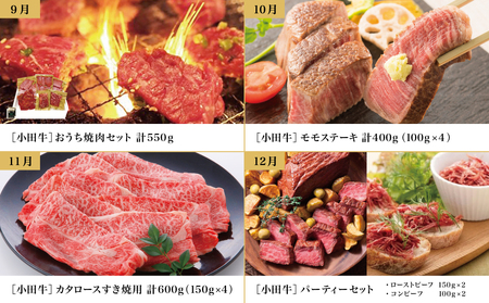 【全12回】プレミアムブランド「小田牛」定期便［～雅～］ 鹿児島県産 黒毛和牛 ステーキ すき焼き 焼肉 焼き肉 BBQ ハンバーグ 餃子 ぎょうざ 焼売 しゅうまい レトルト カレー パスタソース 牛トロ煮込み  コンビーフ ローストビーフ 常温 冷凍 小田畜産 南さつま市