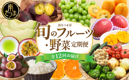 【定期便】南国の恵み 旬のフルーツ・野菜定期便（全12回） 鹿児島県産 果物 フルーツ 柑橘 みかん 野菜 お茶 米 お米 コシヒカリ ぶどう シャインマスカット マンゴー メロン 定期便