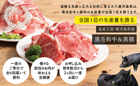 【スターゼン厳選定期便】鹿児島県産黒毛和牛・黒豚定期便（全6回） サーロイン ステーキ 切り落とし しゃぶしゃぶ 焼肉 すき焼き ローススライス 定期便 冷凍 スターゼン