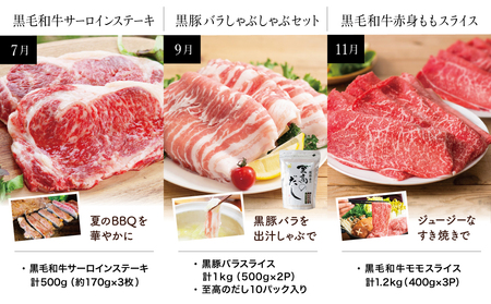 【スターゼン厳選定期便】鹿児島県産黒毛和牛・黒豚定期便（全6回） サーロイン ステーキ 切り落とし しゃぶしゃぶ 焼肉 すき焼き ローススライス 定期便 冷凍 スターゼン