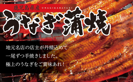【鹿児島県産】活うなぎの蒲焼1尾 鰻 ウナギ 丑の日 グルメ うな重 うな丼 蒲焼 かば焼き お取り寄せ