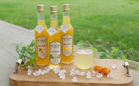 柑橘シロップ３本セット（甘夏・金柑・河内晩柑）