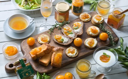 柑橘シロップ３本セット（甘夏・金柑・河内晩柑）