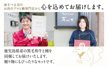 【鹿児島県産】黒毛和牛ステーキとうなぎ蒸しおむすびの贅沢セット（同梱発送） 肉 牛肉 鰻 セット ギフト 贈答 冷凍 スターゼン