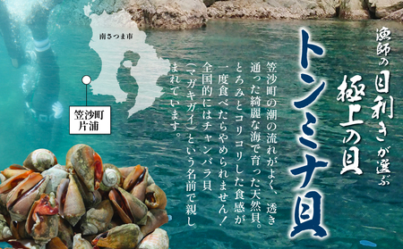 【素潜り漁師直送】【袋に入った冷凍のままでレンジ対応】【南さつま市　笠沙産　天然トンミナ貝】