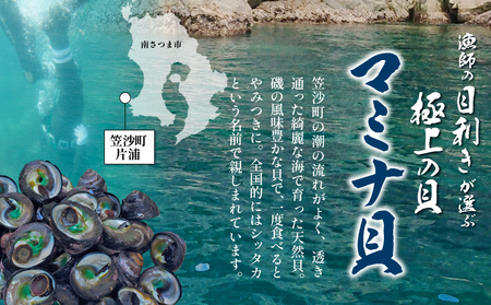 【素潜り漁師直送】【袋に入った冷凍のままでレンジ対応】【南さつま市 笠沙産 天然マミナ貝】シッタカ クボガイ 海産物 魚介類 鹿児島県 南さつま市 隆康産業