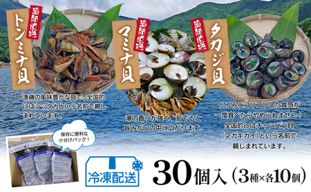 【素潜り漁師直送】【袋に入った冷凍のままでレンジ対応】三種混合30個入り詰め合わせ！南さつまの天然貝！