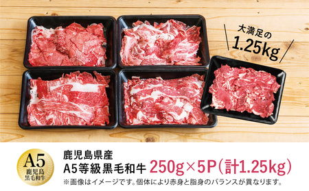 【訳あり】鹿児島県産 A5等級黒毛和牛切落し 計1.25kg（250g×5P） 国産牛 牛肉 国産 おかず カレー 牛丼 肉じゃが カミチク 切り落とし 小分けパック 冷凍牛肉 おかず カレー お肉 小分け 冷凍 カミチク