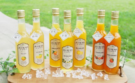 手作りフルーツシロップ 300ml×7本セット