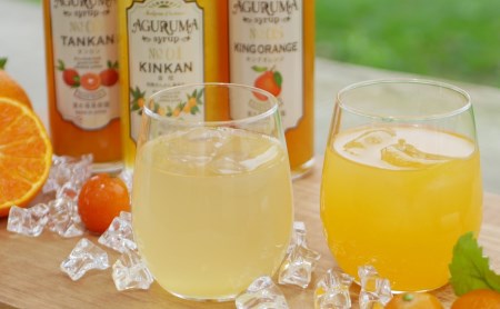 手作りフルーツシロップ 300ml×7本セット