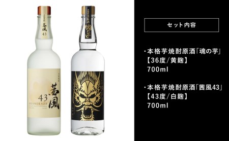 【本坊酒造】貴匠蔵 ISC最優秀金賞受賞の本格芋焼酎原酒 2本セット ギフト箱 プレミア 焼酎 ロック 水割り お湯割り ハイボール 酒 お酒 原酒 津貫