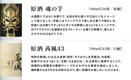 【本坊酒造】貴匠蔵 ISC最優秀金賞受賞の本格芋焼酎原酒 2本セット ギフト箱 プレミア 焼酎 ロック 水割り お湯割り ハイボール 酒 お酒 原酒 津貫