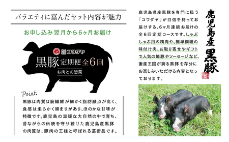 【定期便】黒豚のプロフェッショナル「コワダヤ」の厳選黒豚味わい尽くしコース（全6回） しゃぶしゃぶ 生姜焼き 焼き豚 焼豚 ウインナー ソーセージ ロース 切落し 切り落とし 鹿児島県産 冷凍 南さつま市