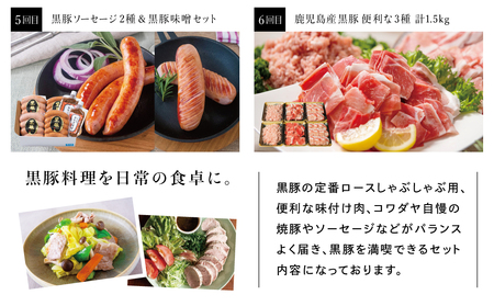 【定期便】黒豚のプロフェッショナル「コワダヤ」の厳選黒豚味わい尽くしコース（全6回） しゃぶしゃぶ 生姜焼き 焼き豚 焼豚 ウインナー ソーセージ ロース 切落し 切り落とし 鹿児島県産 冷凍 南さつま市