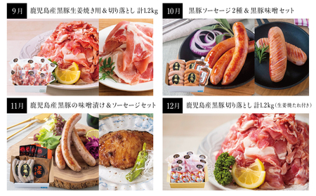 【毎月届く定期便】黒豚のプロフェッショナル「コワダヤ」の厳選黒豚味わい尽くしコース(全12回) しゃぶしゃぶ 生姜焼き 焼き豚 焼豚 ウインナー ソーセージ ロース 切落し 切り落とし 鹿児島県産 冷凍 南さつま市