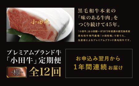【全12回】プレミアムブランド和牛「小田牛」定期便 （～極～）鹿児島県産黒毛和牛 ステーキ すき焼き しゃぶしゃぶ ローストビーフ ハンバーグ カレー 総菜 おかず レトルト 冷凍 小田畜産 南さつま市