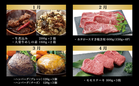 【全12回】プレミアムブランド和牛「小田牛」定期便 （～極～）鹿児島県産黒毛和牛 ステーキ すき焼き しゃぶしゃぶ ローストビーフ ハンバーグ カレー 総菜 おかず レトルト 冷凍 小田畜産 南さつま市
