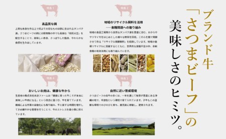 【鹿児島県産】 ブランド黒毛和牛 さつまビーフ カタスライス 450g お肉 牛肉 すき焼き すきやき しゃぶしゃぶ 赤身 肩スライス 冷凍 スターゼン 南さつま市