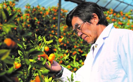 【鹿児島県南さつま市産】完熟金柑コンポート