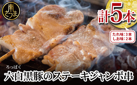 【鹿児島県産】六白黒豚のステーキジャンボ串 計5本（タレ×3本・塩×2本）  おかず 簡単調理 ご自宅用 おつまみ バーベキュー BBQ 冷蔵 南さつま市