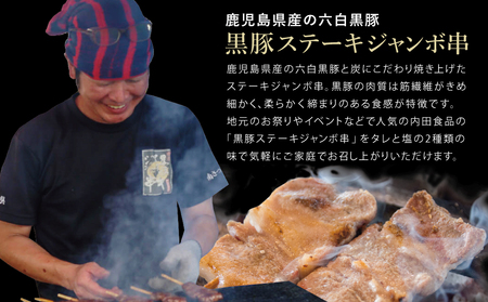 【鹿児島県産】六白黒豚のステーキジャンボ串 計5本（タレ×3本・塩×2本）  おかず 簡単調理 ご自宅用 おつまみ バーベキュー BBQ 冷蔵 南さつま市