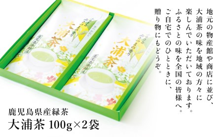 贈答用】鹿児島県産緑茶 大浦茶 一番茶2本セット（100g×2） 鹿児島県産