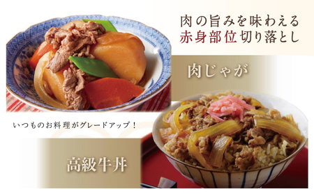 【鹿児島県産】黒毛和牛 赤身 切り落とし 1kg(500g×2) 切落し 牛丼 すき焼き 肉じゃが 炒め物 小分け 冷凍 スターゼン