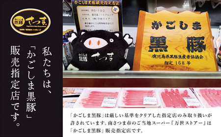 【ブランド黒豚】かごしま黒豚 3種類 計1kg バラエティセット お肉 国産 豚肉 鹿児島県産 冷凍 南さつま市