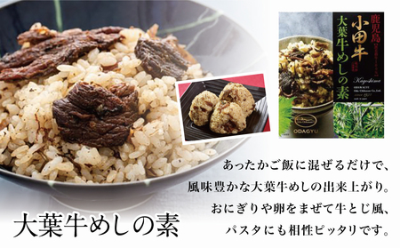 【プレミアムブランド牛】鹿児島黒牛 「小田牛」の大葉牛めしの素＆牛とろ煮込み 牛肉 お肉 総菜 おかず レトルト 黒毛和牛 小田畜産