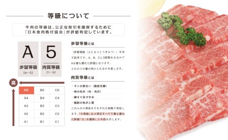 【鹿児島県産】A5等級 黒毛和牛 霜降り焼肉用 400g 牛肉 焼肉 BBQ お肉 小分け 冷凍 カミチク 南さつま市